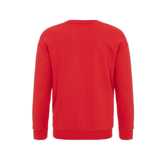Red Bridge Herren Sweatshirt Basic Pullover Crewneck Premium Basic Rot S